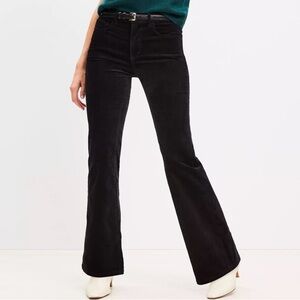Five Pocket Slim Flare Pants in velvet